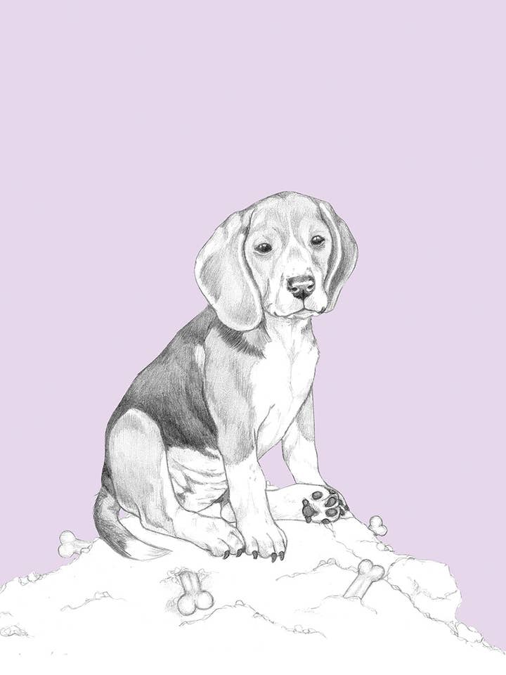 Beagle for wholesale by I AM NIEN