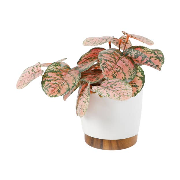 Pianta finta a pois rosa in vaso bianco con base in legno per la vendita all'ingrosso da parte di Flora Bunda Inc