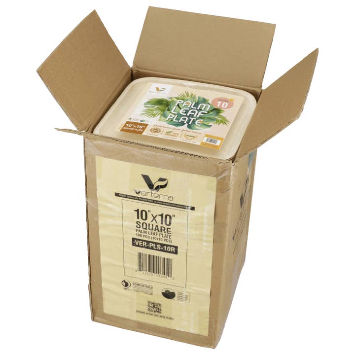 VerTerra Dinnerware - Wholesale Disposable Plate - 10" x 10" VerTerra Square Palm Plate5