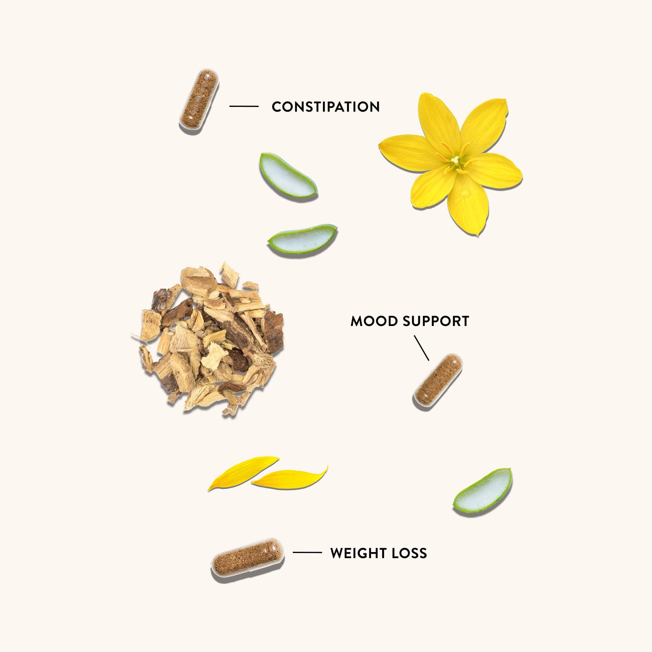 NutriRise - Venta al por mayor Suplementos/vitaminas para beber - Limpieza rápida de 15 días7