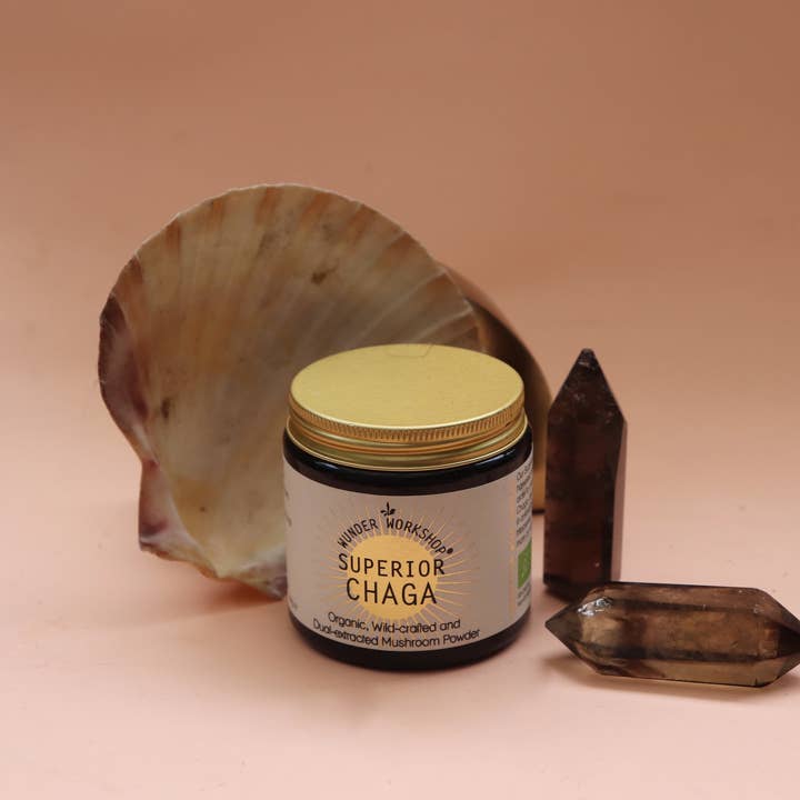 Wunder Workshop - Wholesale Protein/Superfood Powder - Superior Chaga Mushroom Extract Powder (40g)
