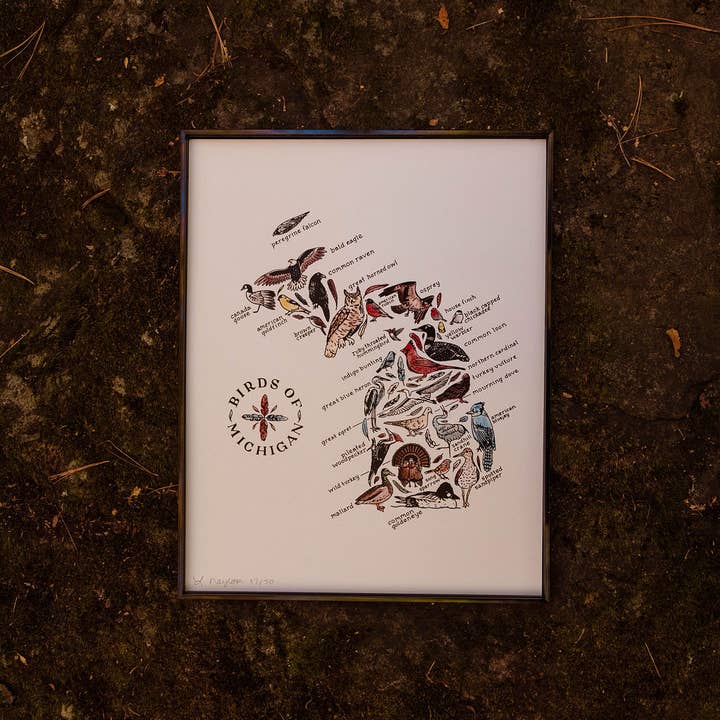 Home Squirrel - Wholesale Art Print - Birds of Michigan Watercolor Art Print0