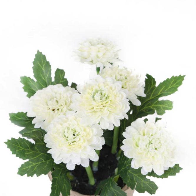 Closer2Nature – wholesale Artificial flowers – Artificial 18cm White Chrysanthemum Plant with Gift Box2