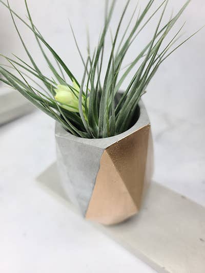 Geometric Concrete Vase Airplant Pot | Pen Holder Planter for wholesale by Geoform Designs