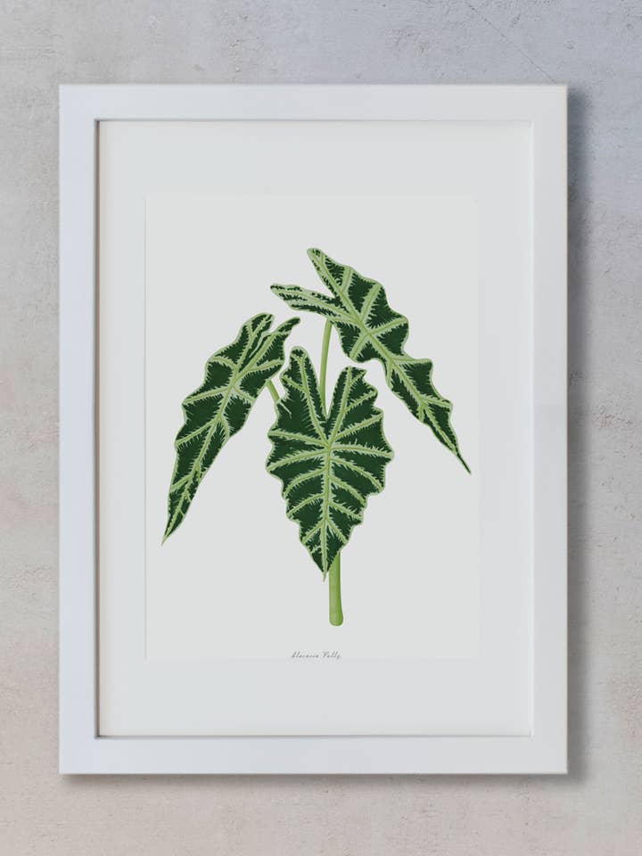 Watercolor Prints - Alocasia Polly for wholesale by Save the date projects