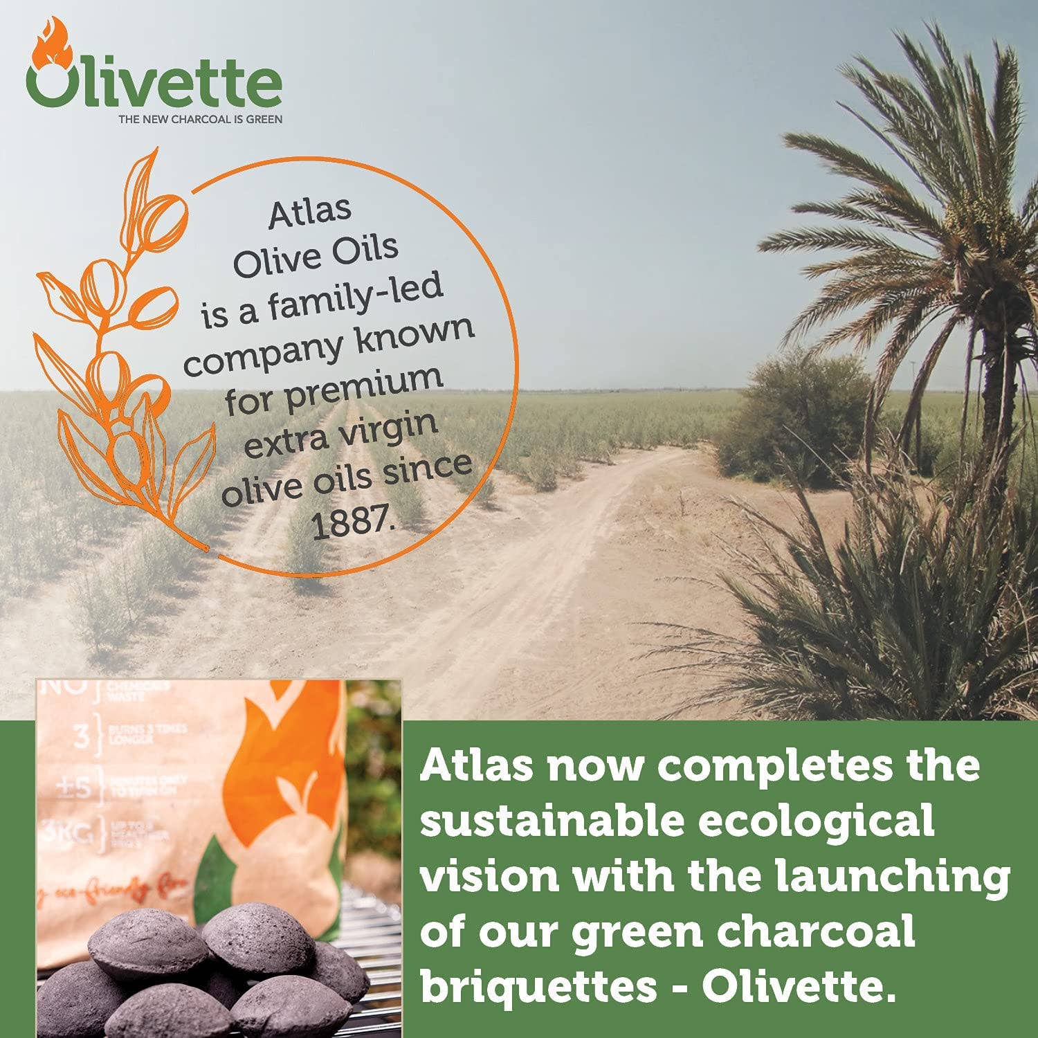 ATLAS OLIVE OILS - Wholesale Fire Pit - Olivette Organic Charcoal Briquette for BBQ|USDA Organic|3Kg4