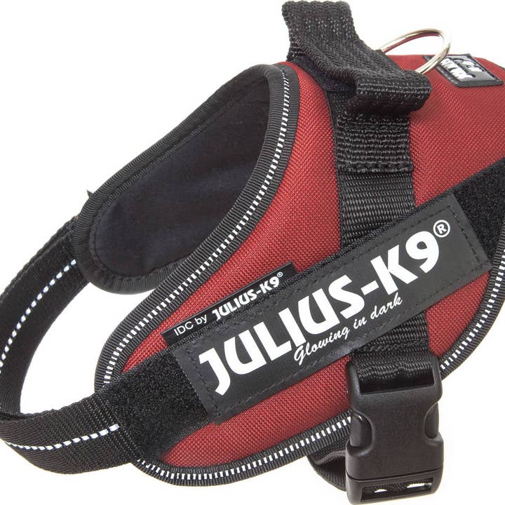 IDC POWER BORDEAUX pour la vente par K9 Shop