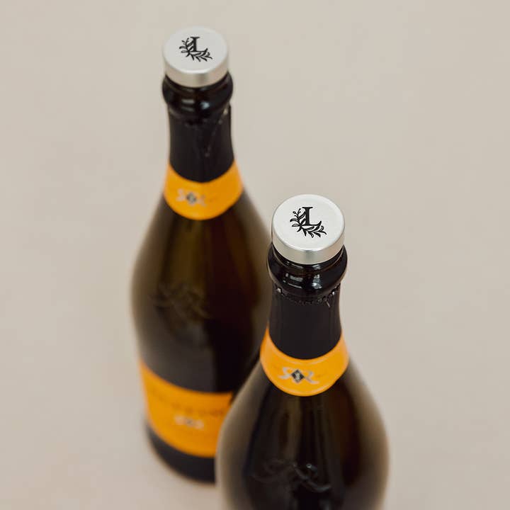 Weddingstar Inc. – wholesale Wine stopper – Reusable Metal Bottle Stopper - Modern Fairy Tale2