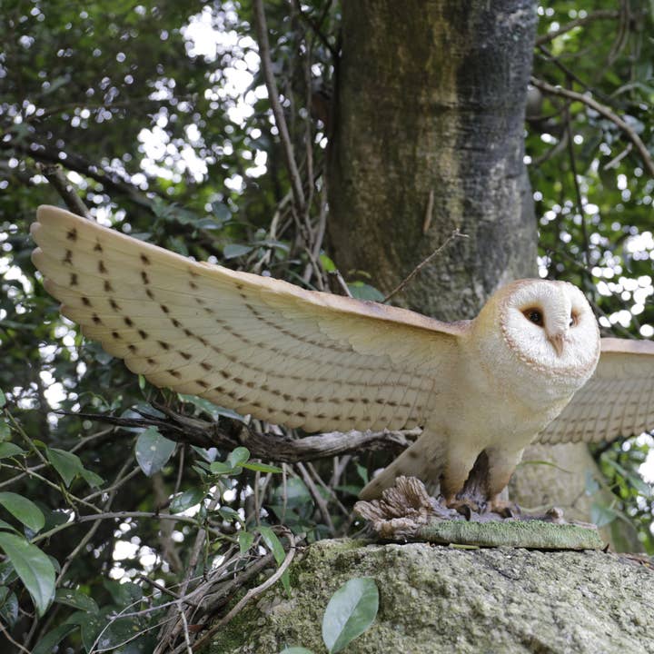 Barn Owl Flying Statue for wholesale by Hi-Line Gift Ltd.