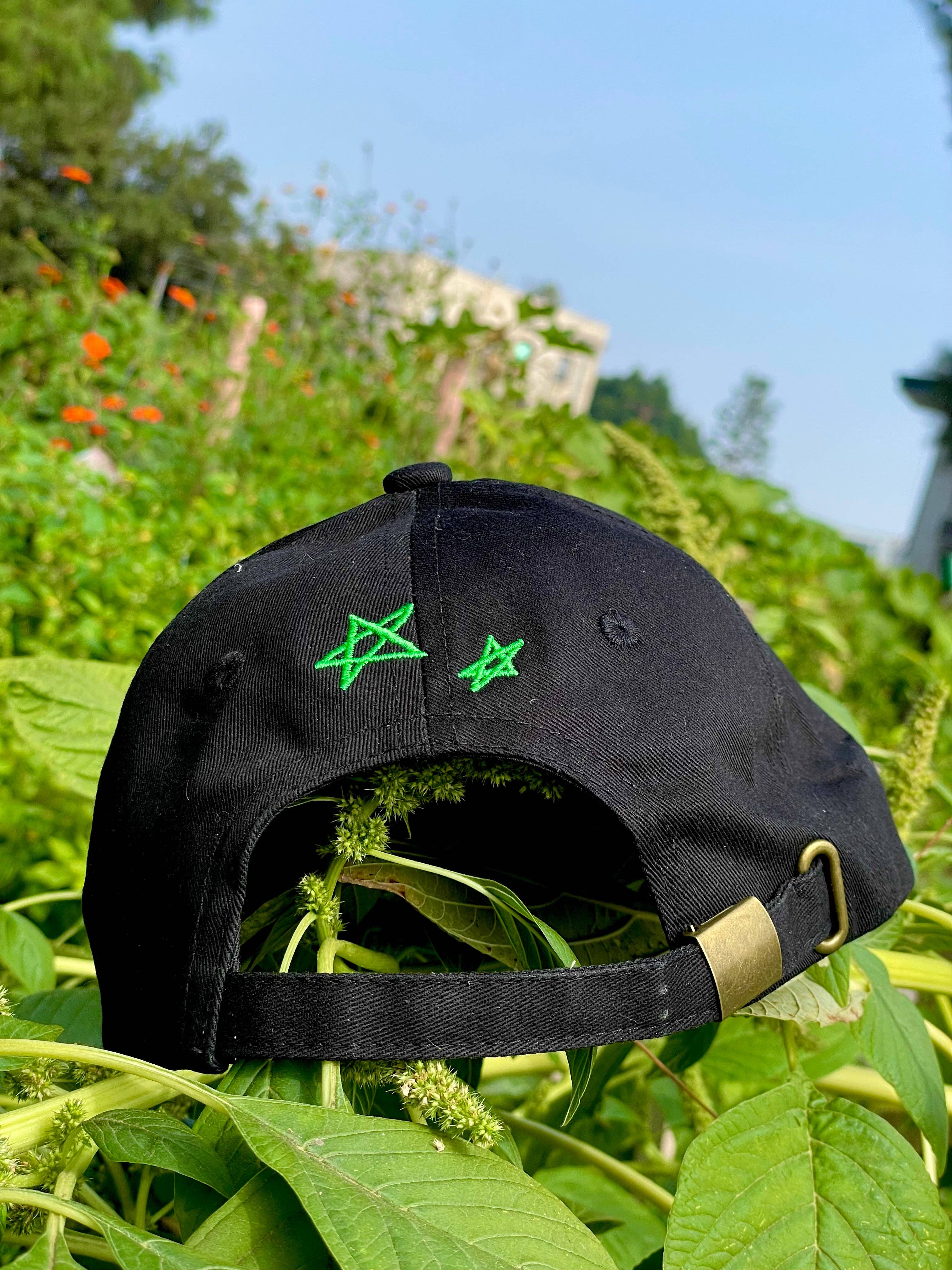 coralroot - Wholesale Baseball Cap - Unisex - Alien Cat Dad Hat1