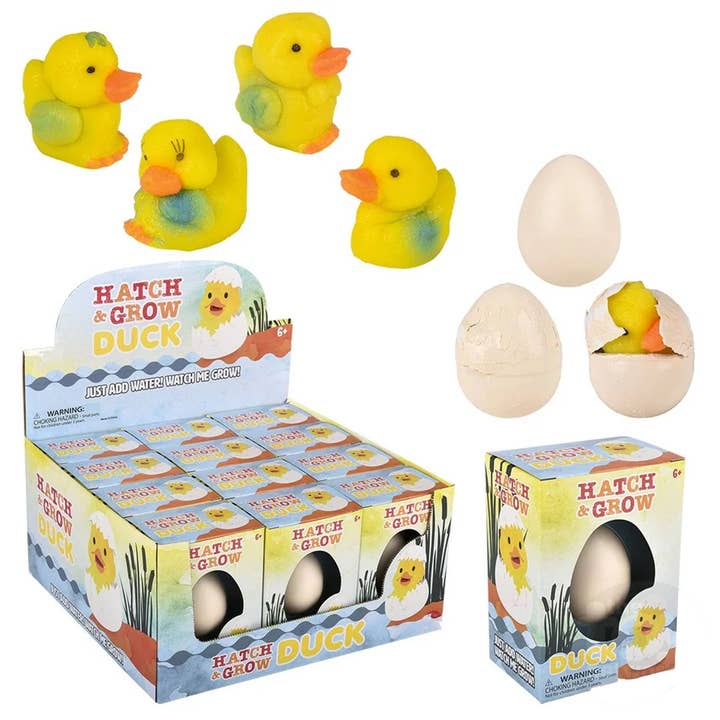 Small Hatch And Grow Duck Egg Kids Toy Halloween and other Purchase Wholesale duck eggs. Free Returns & Net 60 Terms on Faire trending on Faire.