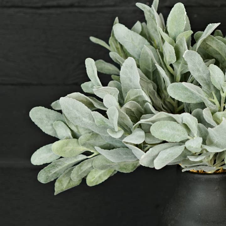 Two Ten Original LLC - Wholesale Artificial Plant - 14in Flocked Lamb Ear Leaves Bush-5