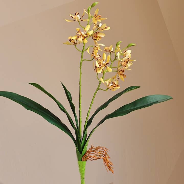 Angel Isabella - Wholesale Artificial Flowers - 17"Artificial Arachnis Orchid Real Touch Leaves