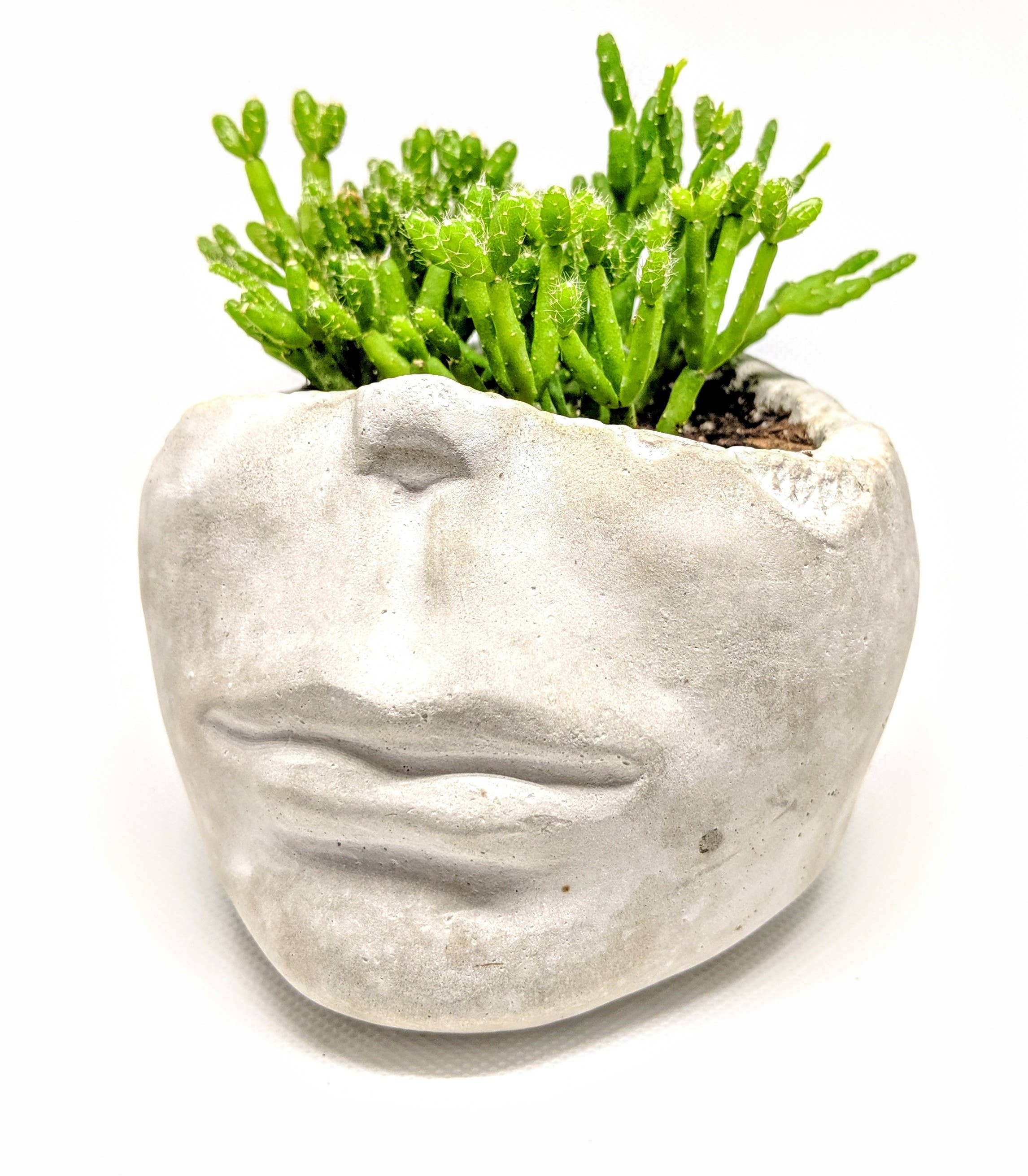 ForgottenProperty - Wholesale Plant Pot - Concrete Face Planter2