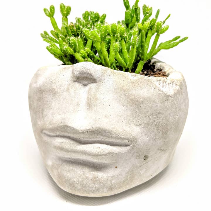 ForgottenProperty - Wholesale Plant Pot - Concrete Face Planter2