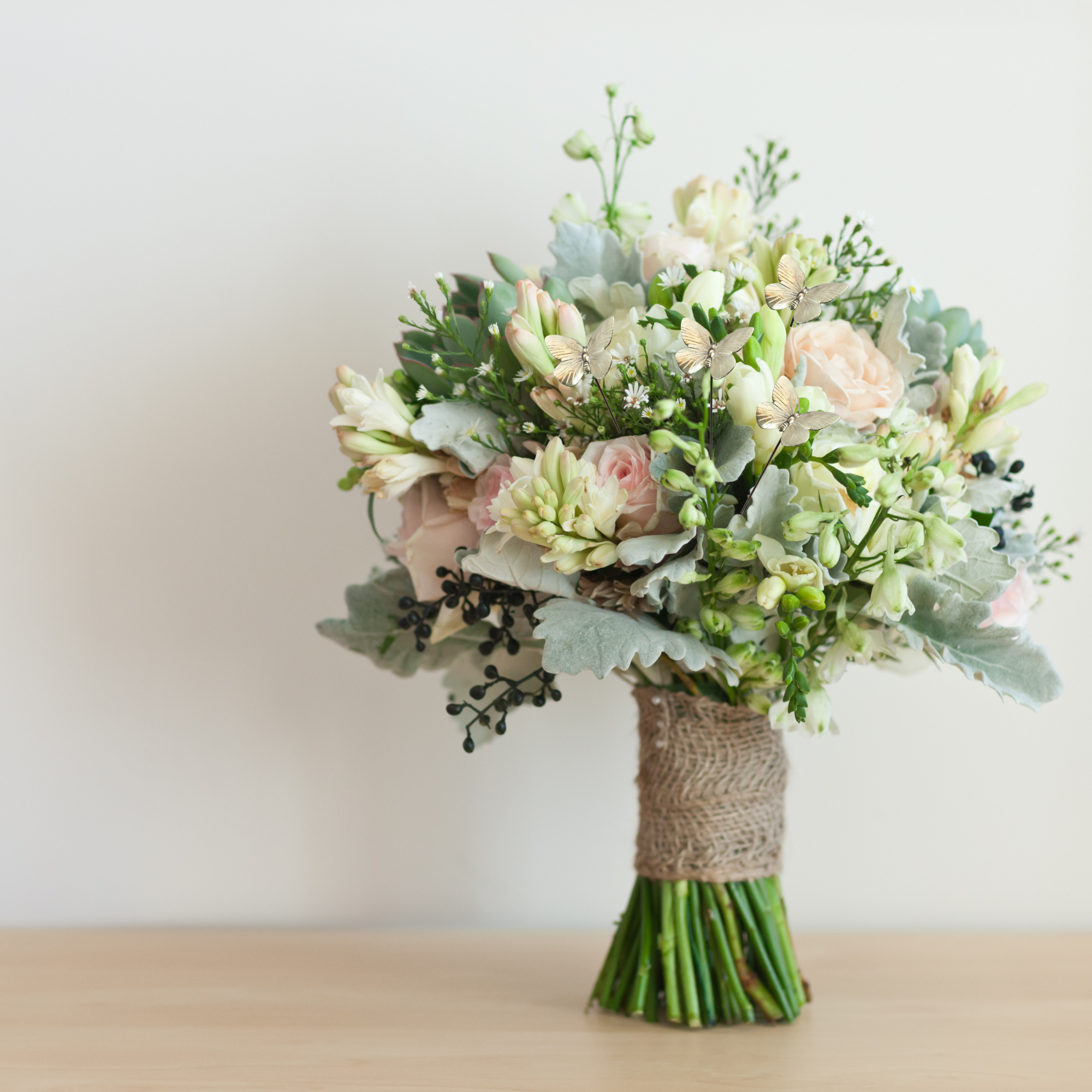 The Brass Butterfly - Wholesale Live Plant - Brass Butterfly Plant Sticks (Set of 6)6