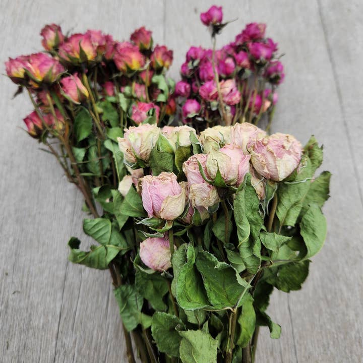 Alissas Flower Farm - Wholesale Dried/Pressed Flowers - Dried Roses, Spray
