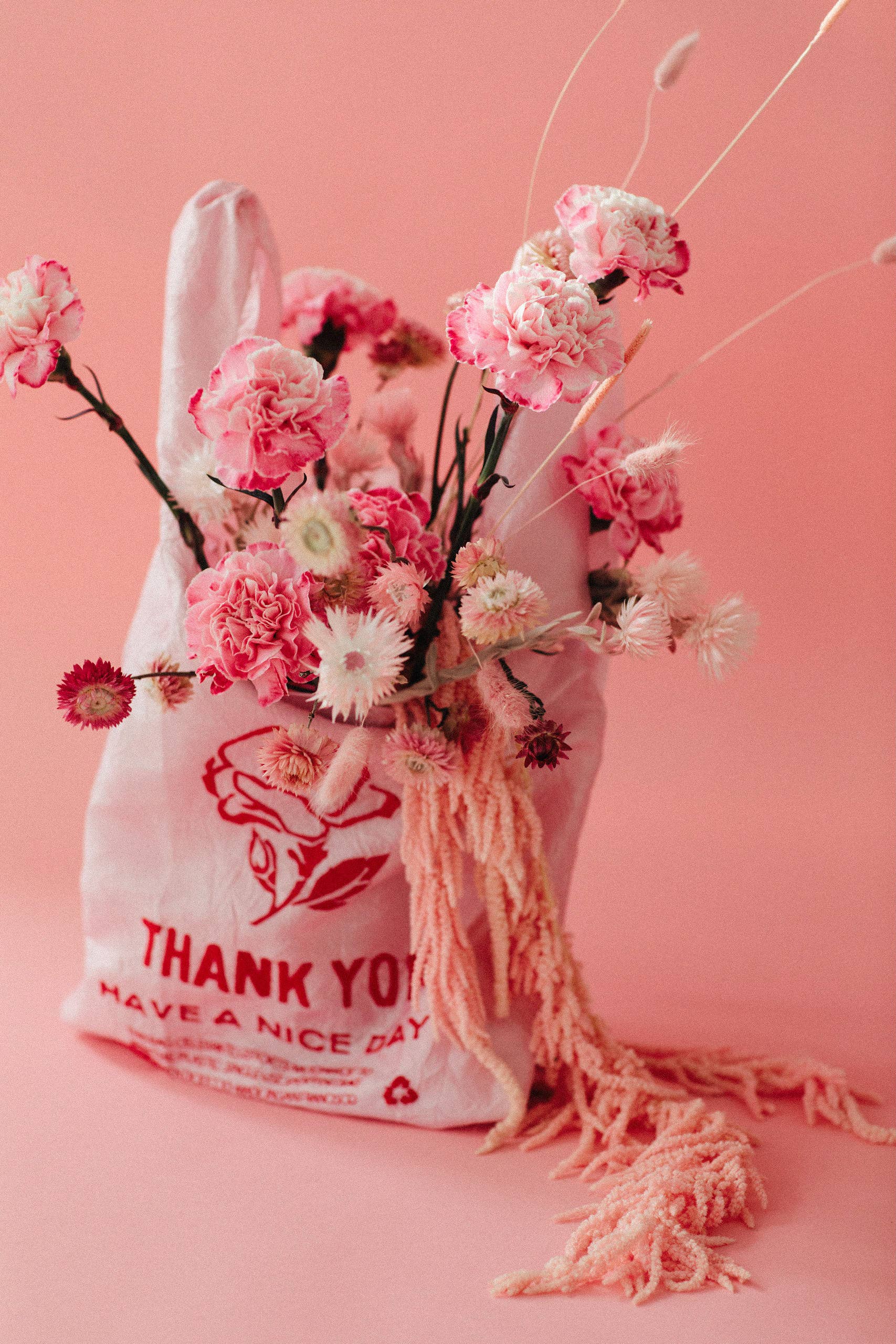 OPEN EDITIONS - Wholesale Grocery/Shopping Bag - Thank You Tote // Rose on Pink // Lauren DiCioccio17