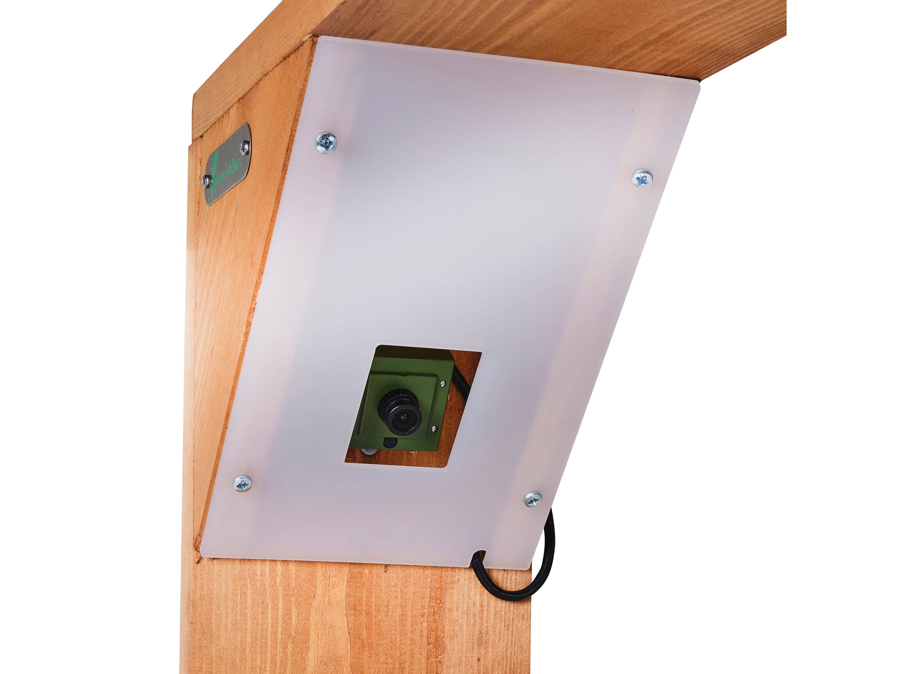 Green Feathers – wholesale Bird feeder – WiFi Bird Feeder HD Camera Pack3