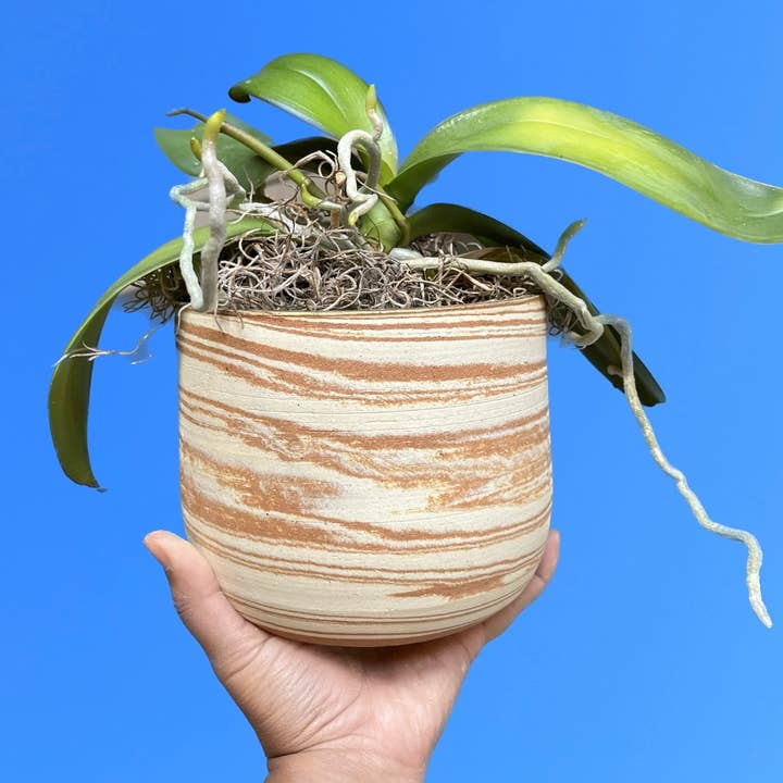 Marbled Planter (7” Diameter) for wholesale by Full Spectrum Ceramics