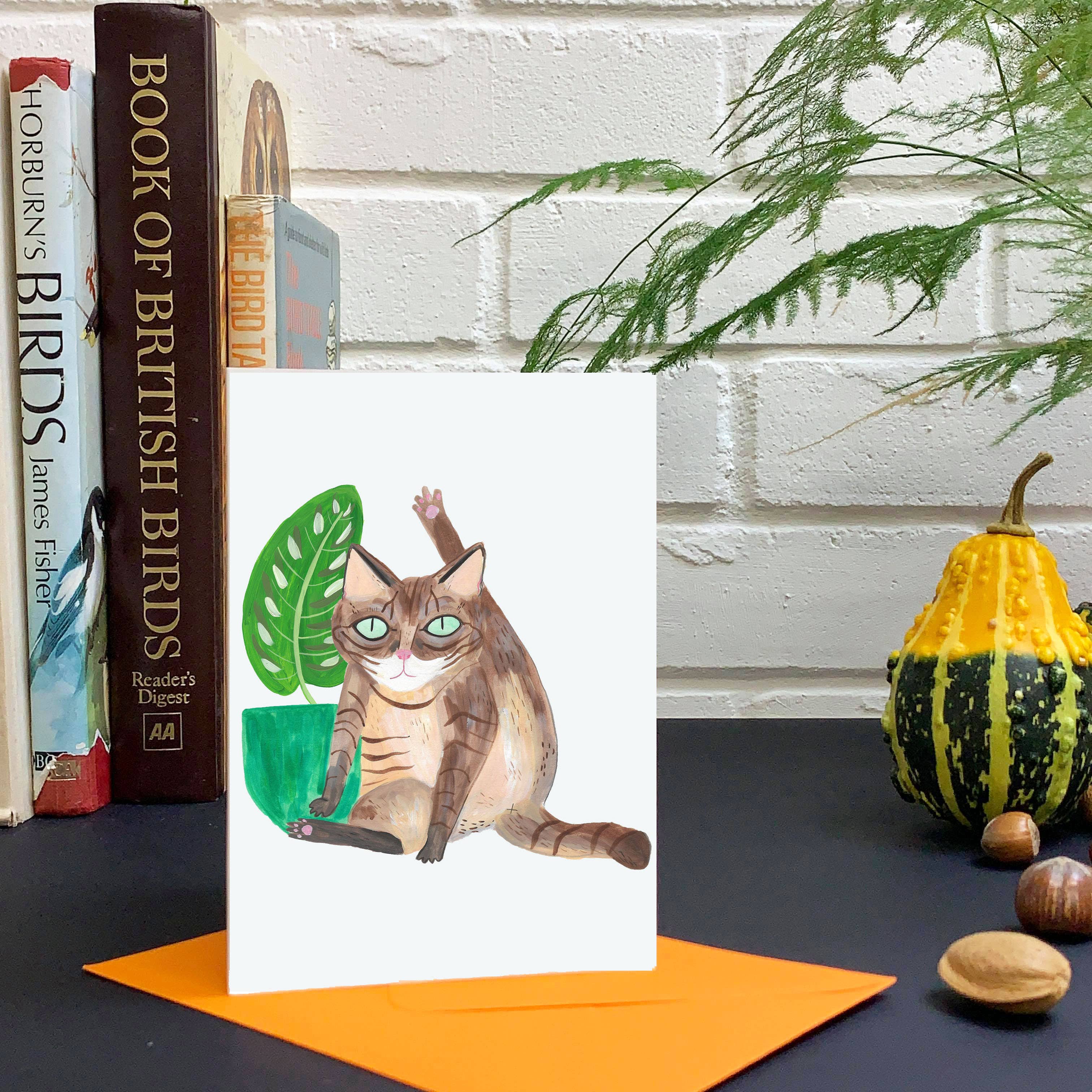 Fernandes Makes - Vente Carte de vœux classique - Carte de vœux amusante au format A6 Cat Licking2