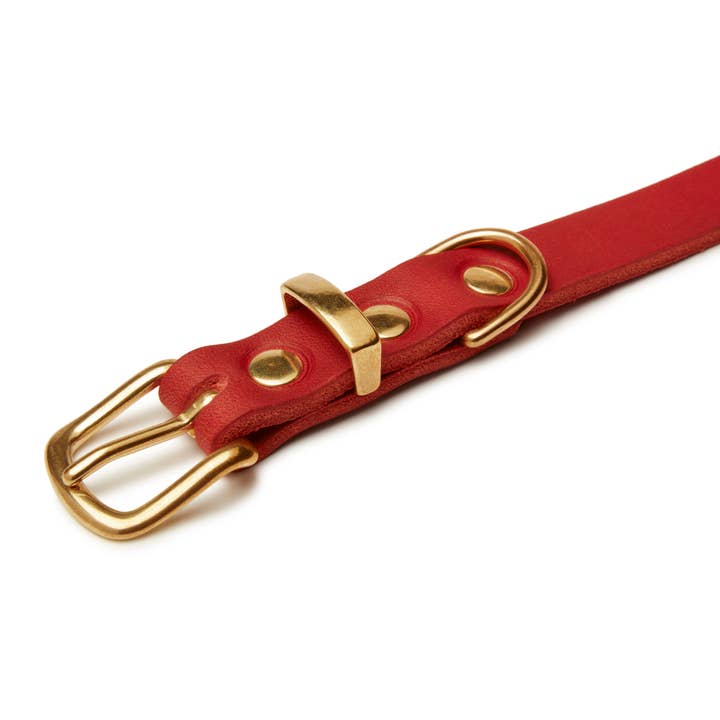Molly and Stitch - Wholesale Pet Collar - Dog - Butter Leather Dog Collar - Chili Red4