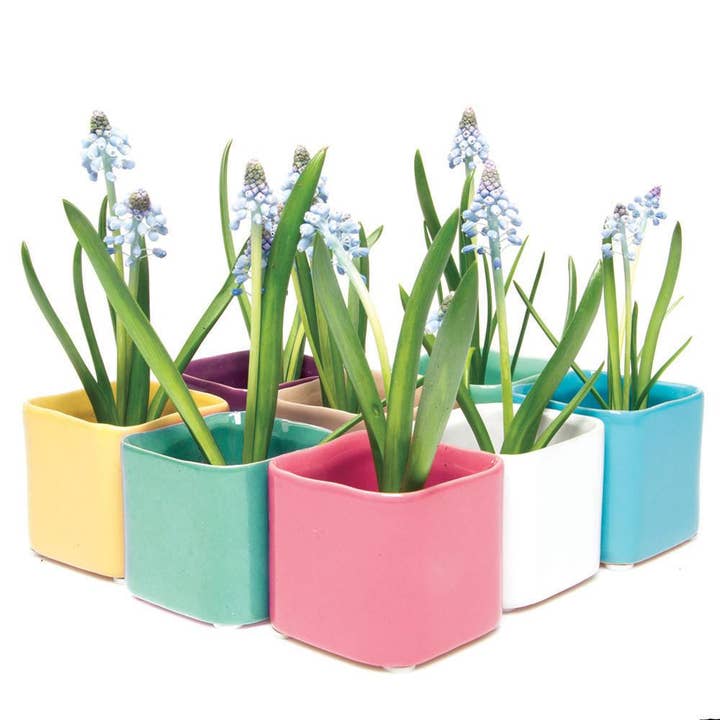 Chive - Wholesale Plant Pot - Svek Succulent Planter For Succulents And Floral Frogs18