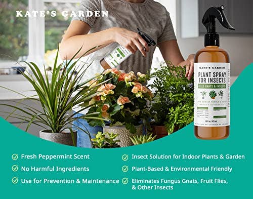 Kates Home & Garden - Wholesale Insect Repellent - Plant Spray for Insects3