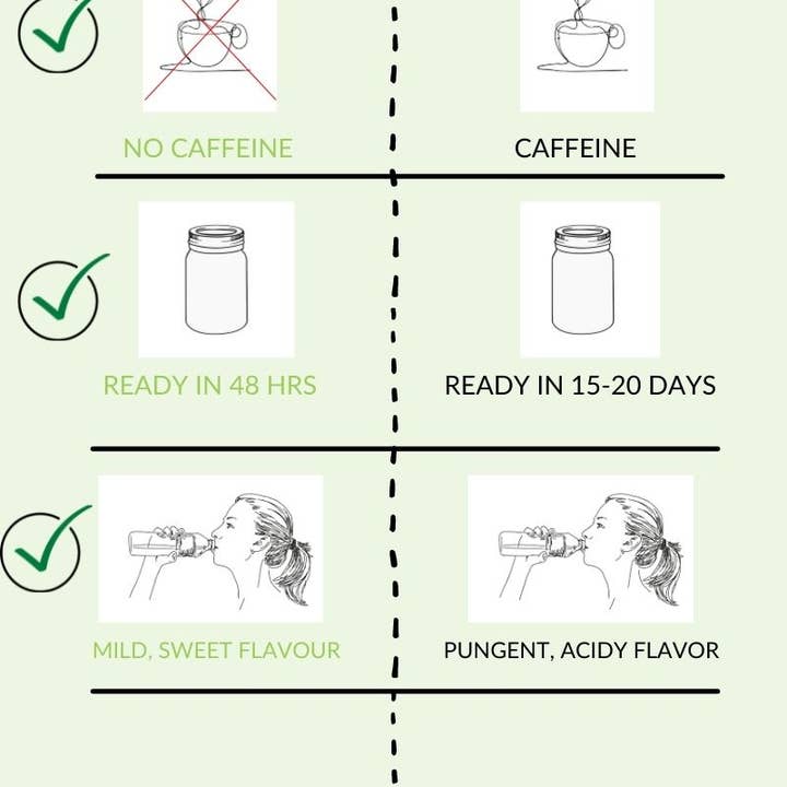 Happy Gut - Wholesale Protein/Superfood Powder - Dehydrated Water Kefir Grains - Happy Gut Pro5