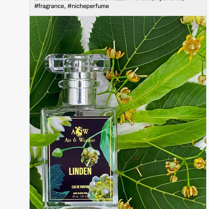 Air & Weather Perfume - Wholesale Perfume/Eau de Toilette - Air & Weather's Linden Perfume6