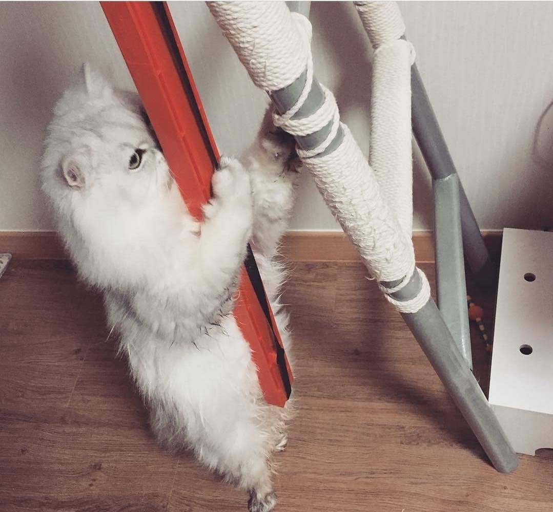 MOODY PET - Wholesale Pet Toy - Cat - Fling-Ama-String7