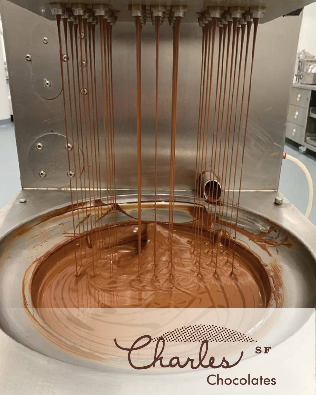 Charles Chocolates - Wholesale Chocolate Bar - Salty Sweet Hazelnut Bar, 3.9 oz2