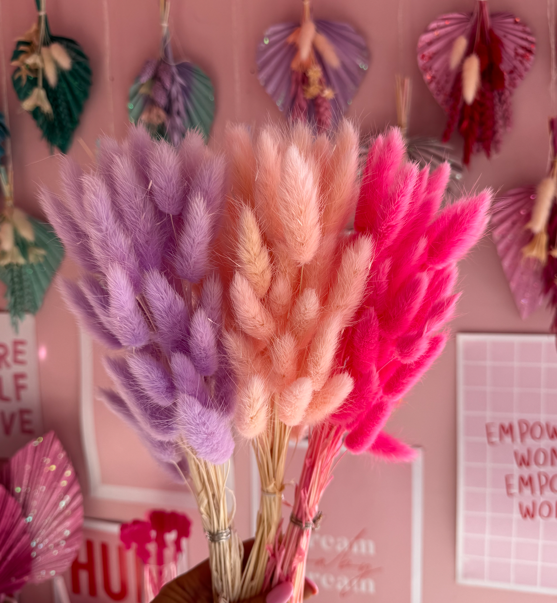 Petals & Pampas – Großhandel Getrocknete/gepresste Blumen – Bunny Tails – Blau, Pink, Lila, Weiß, Orange3