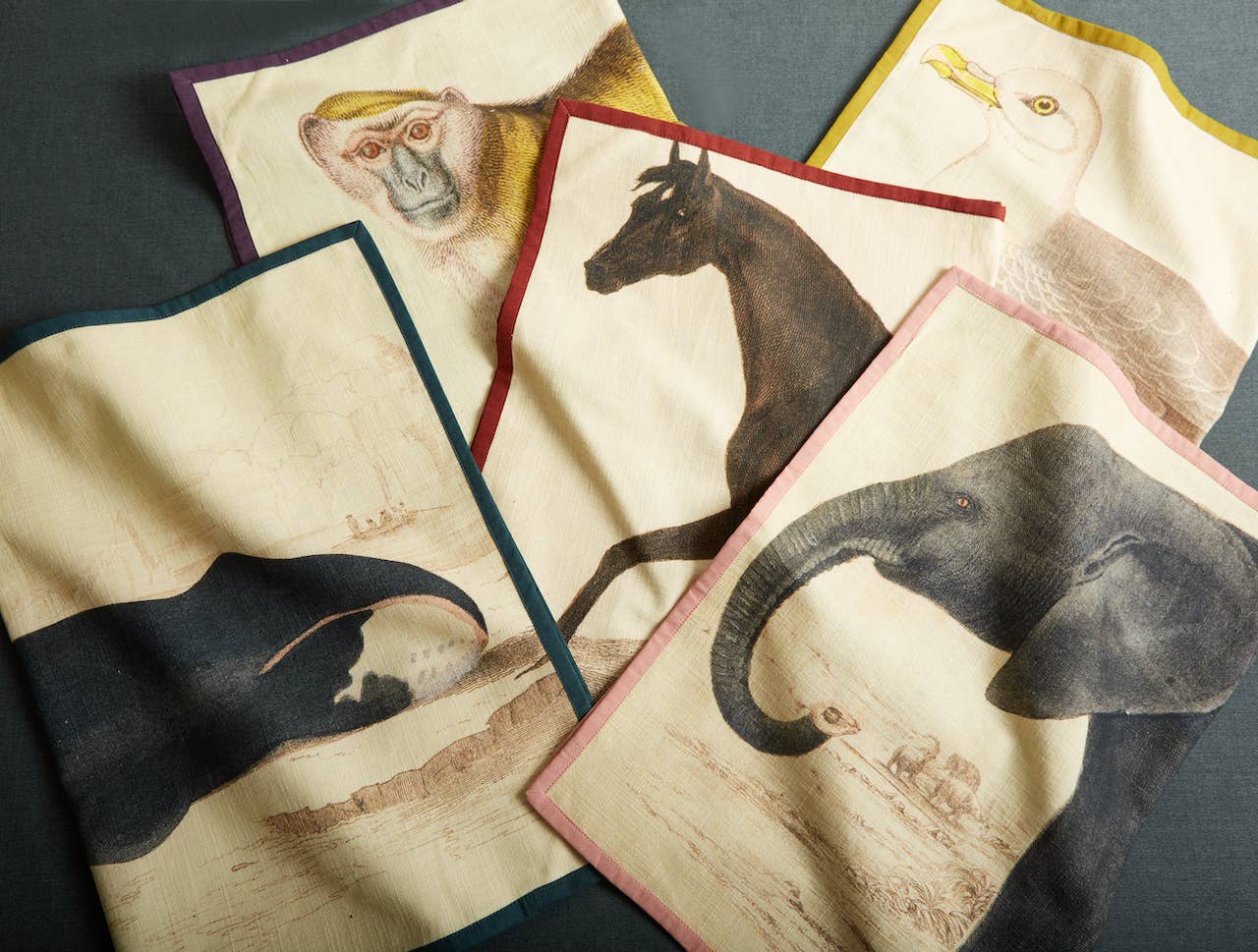 Siren Song - Wholesale Tea Towel - Seagull Tea Towel2