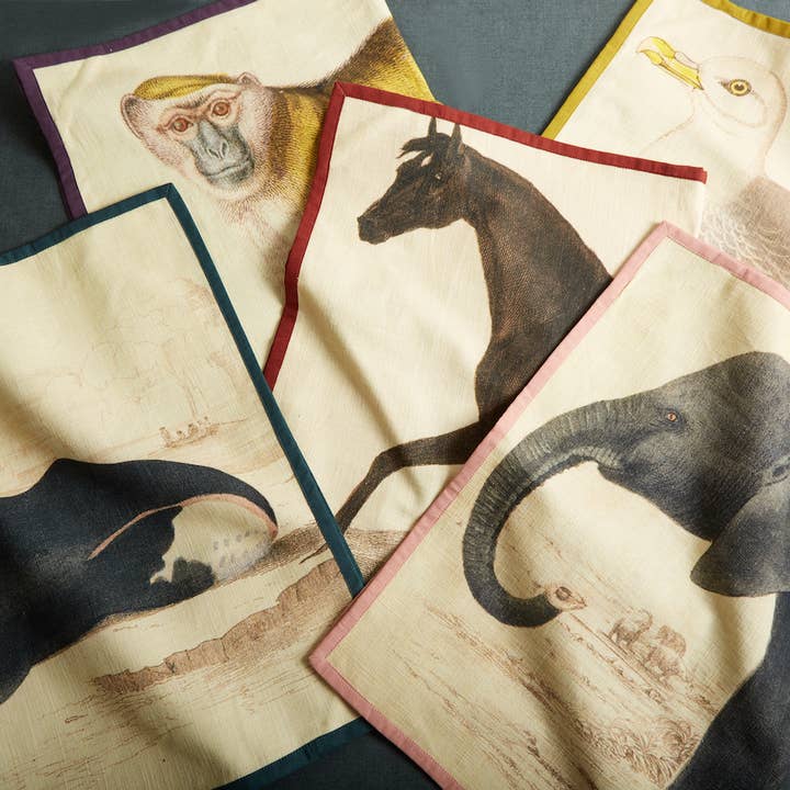 Siren Song - Wholesale Tea Towel - Seagull Tea Towel2