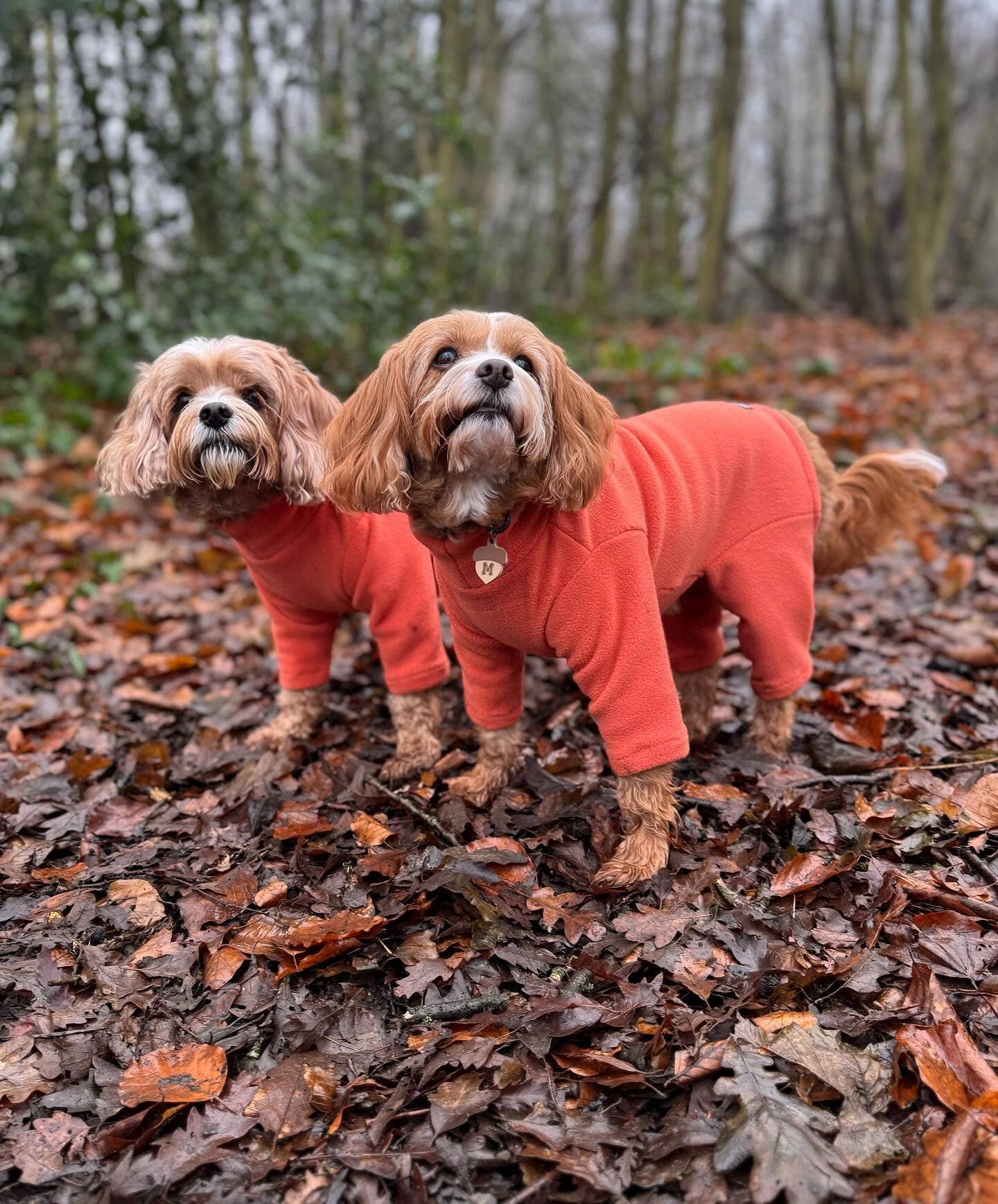 Pet Wiz - Vente Pull – chien - Pull polaire quatre pattes pour chien - Large choix de tailles et couleurs8