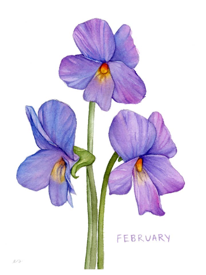 Februari Viooltje Geboortebloem Print – Muurkunst voor wholesale door Art by Emma Lian