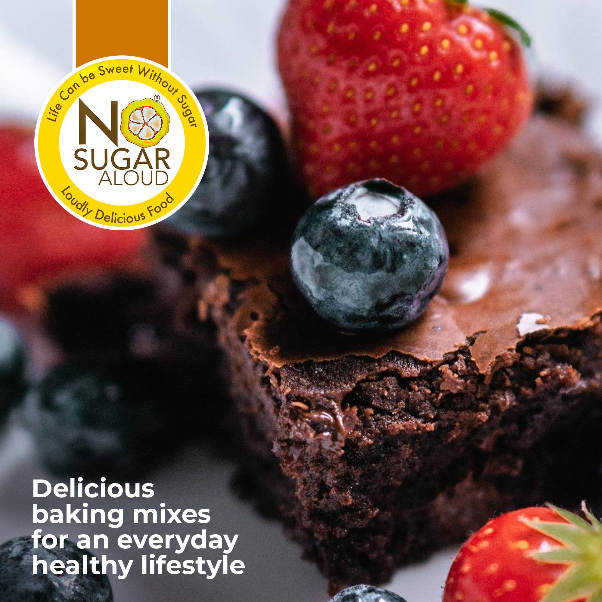 No Sugar Aloud LLC - Wholesale Brownie Mix - Low Carb Brownie Mix3