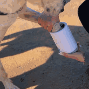 BluePet - Vendita all'ingrosso Strumento per la toelettatura del pelo - Cani - "PawBlitz" - detergente pratico per zampe di cani1