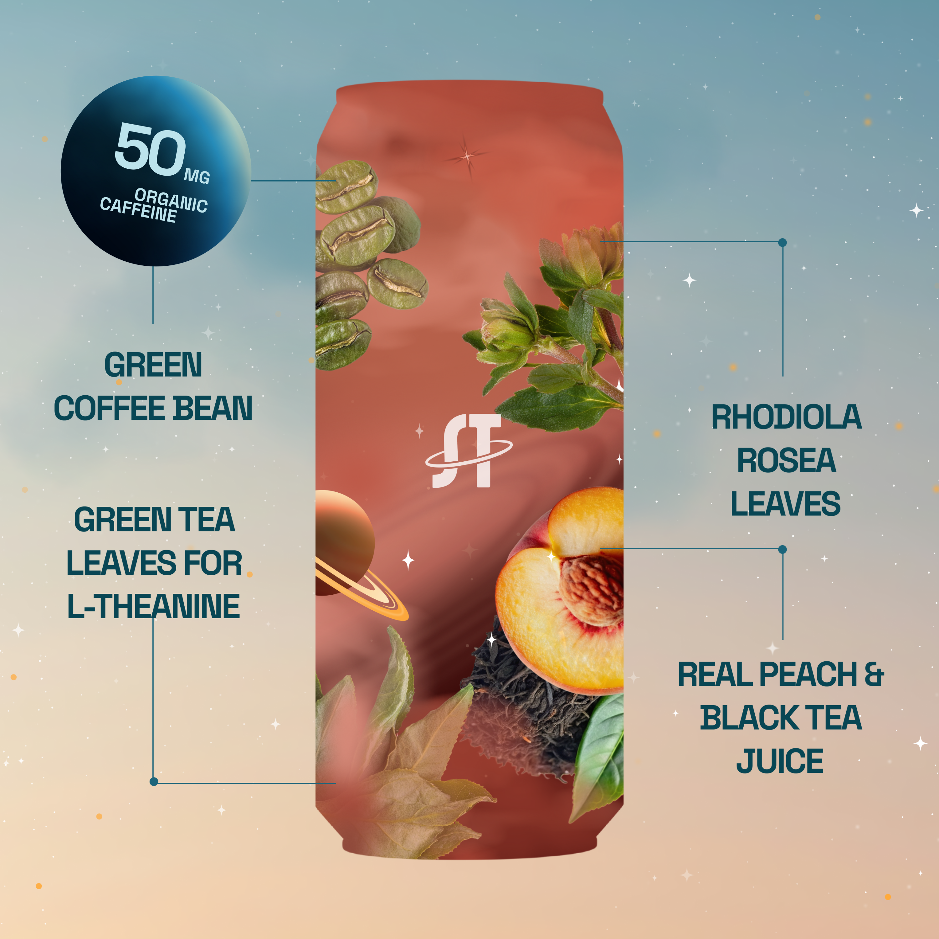 SpaceTime - Wholesale Soda/Carbonated Drink - PEACH TEA - (12 Pack)2