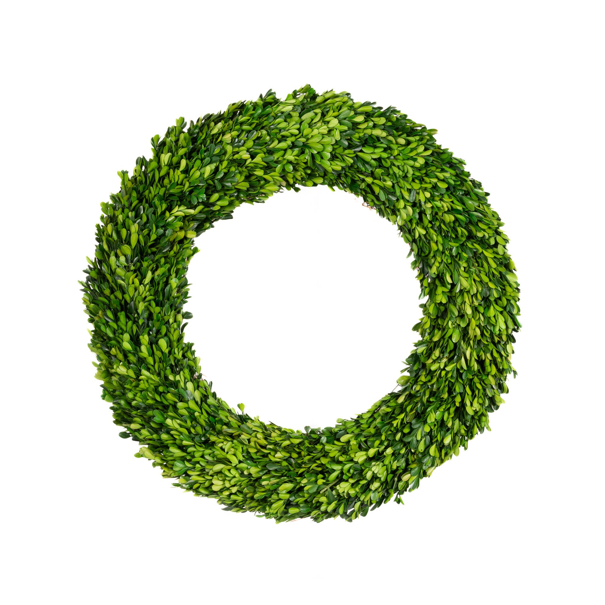 Mills Floral Company – wholesale Wreath – Preserved Boxwood Regal Wreath - 30 Inch