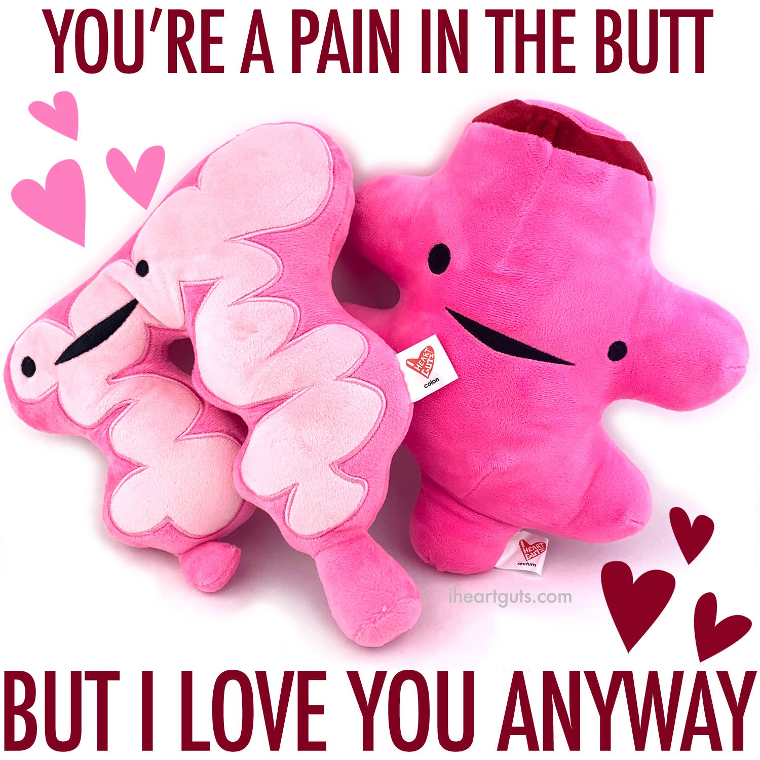 I Heart Guts | Organ Plushies Wholesale - Wholesale Stuffed/Plush Toy - Kids & Baby - Colon Plush - You Move Me7