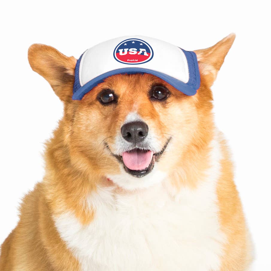 PupLid – wholesale Hatt - Hund – USA Stars Design l Truckerhatt för hundar8