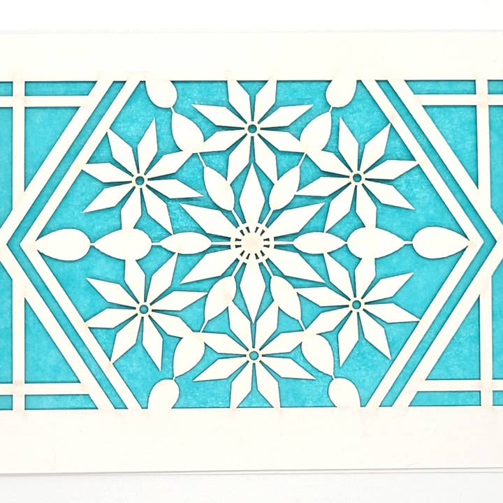 Poinsettia for wholesale by two hermanas