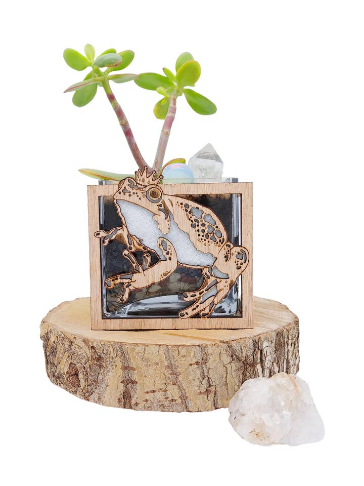 Frog Prince Broga, Vase for wholesale by Bluebell Peak Design