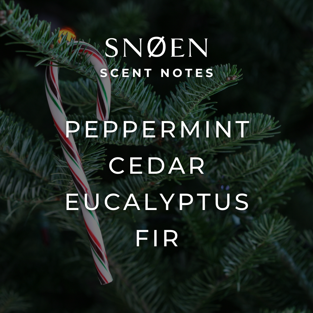 FJORD & FABLE - Vente Bougie en bocal - Bougie Snøen FJORD & FABLE1