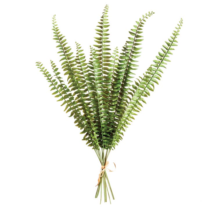 GREEN Fern Stems for wholesale on Faire