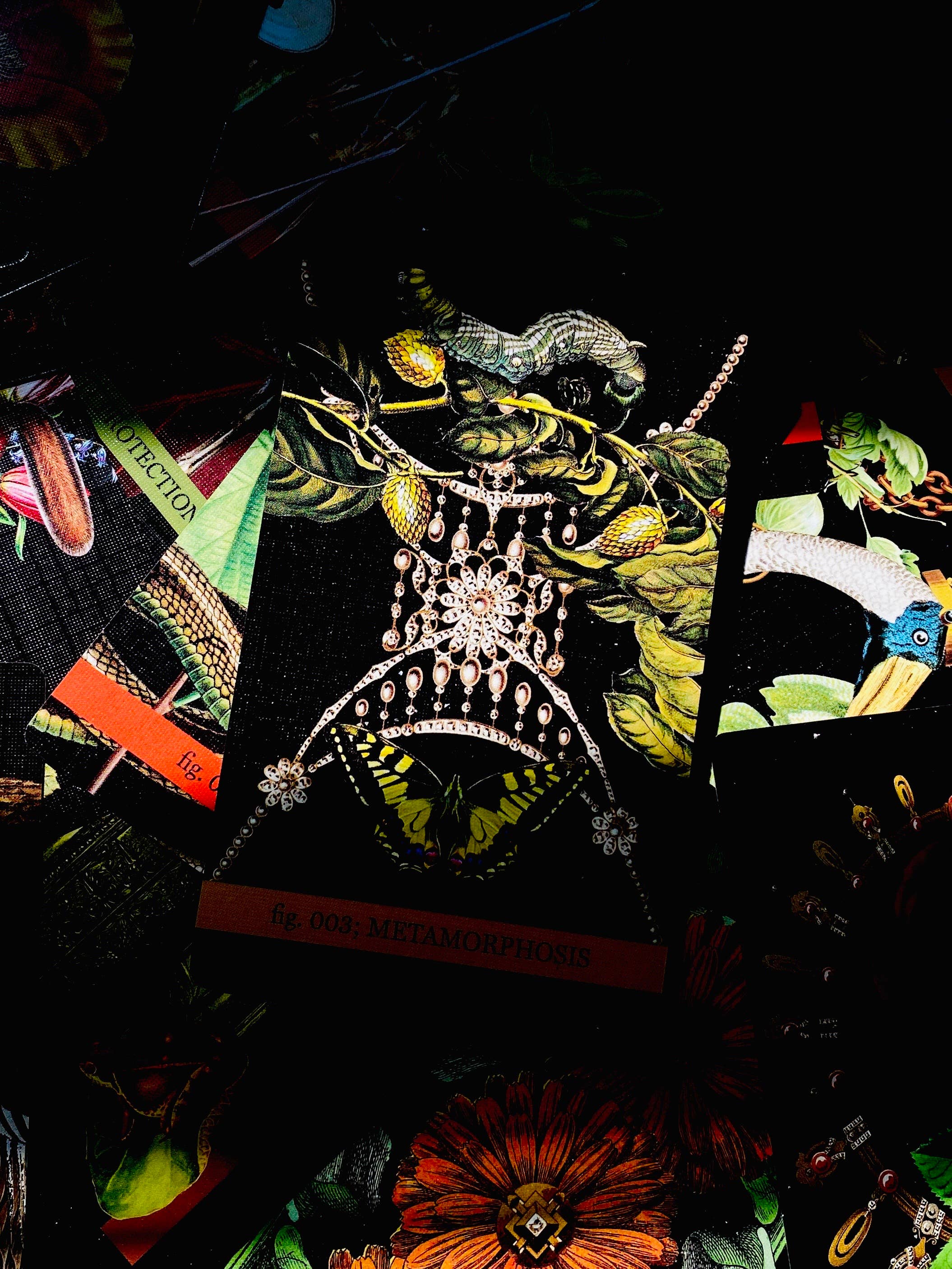 Cosmic Butcher - Wholesale Tarot Cards - "Eternal Gardens" Oracle & Lenormand Deck | Botanical Tarot12