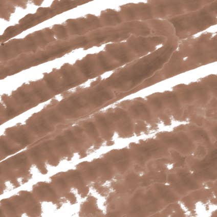 Alleyoop Makeup | Clean Beauty & Wellness - Wholesale Eyebrow Pencil/Filler - Swift Brow Shape + Fill Brow Pencil- Soft Brown4