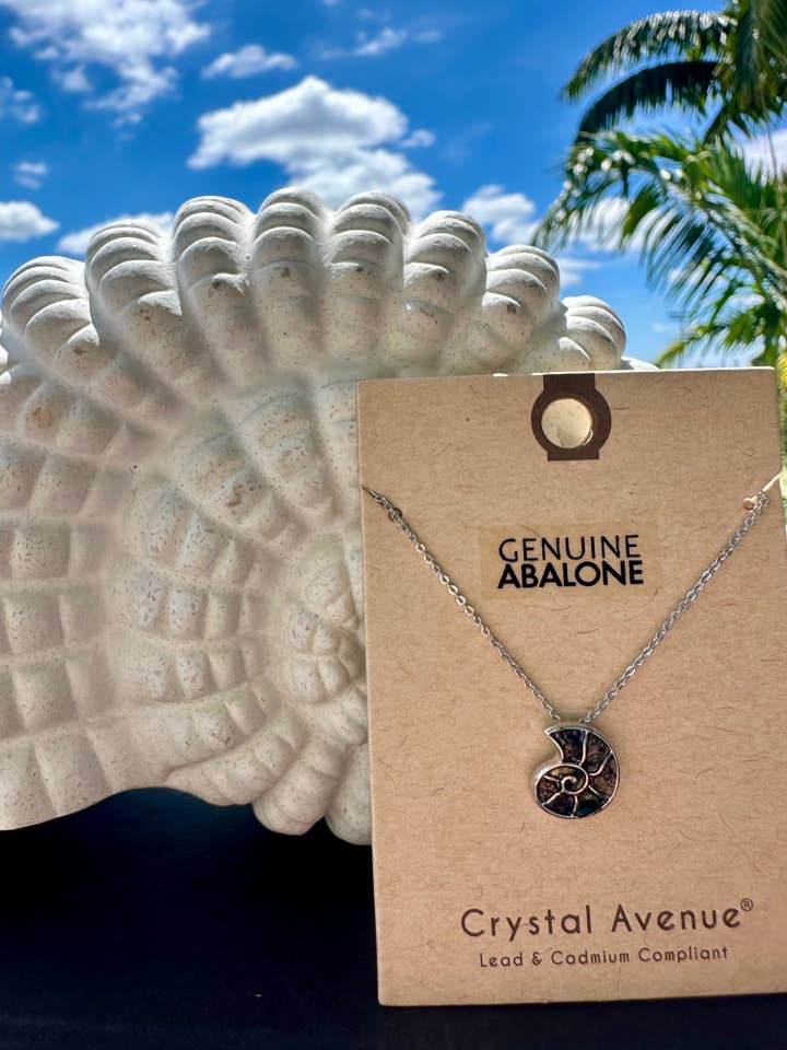 Abalone Conch Shell van Crystal Avenue voor wholesale door Offshore Surf Co